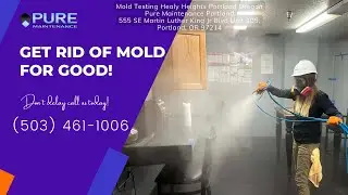 Mold Testing Healy Heights Portland Oregon - Pure Maintenance Portland - 503-461-1006