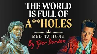 Marcus Aurelius Meditations Explained by Tyler Durden