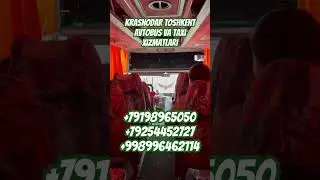 #musofir 🇺🇿🇷🇺AVTOBUS XIZMATLARI KRASNODAR TOSHKENT NAVBATDAGI REYSLAR #musofirtv #musofirlar #uz