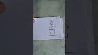 grow plants flip book #shorts