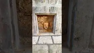 Mascaron