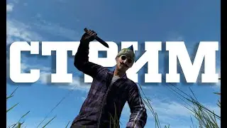 СТРИМ DAYZ 1.25 #dayz #stream