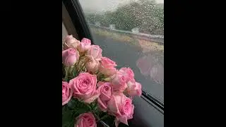 #تاج_الذكر مع #سورة_البقرة -سلام داخلي و تسهيلات؟ 🩷