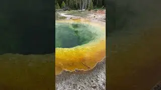 Yellowstone national park - Morning Glory Pool #usa #nature