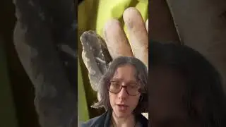 Why did humans use stone tools for over 2 million years??
