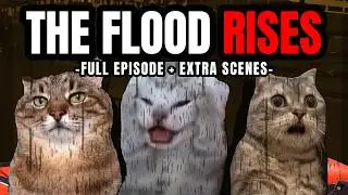 Cat MEMES: THE FLOOD DISASTER | FAMILY ROADTRIP SPECIALS