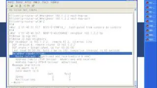 SP2 MBGP Config lab 2