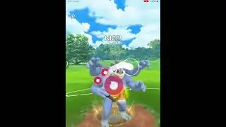 2500cp Machamp and 2500cp Dragonite Wild Battle!