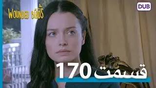 پرندگان زخمی | با دوبلۀ فارسی | قسمت 170 | Wounded Birds Episode 170