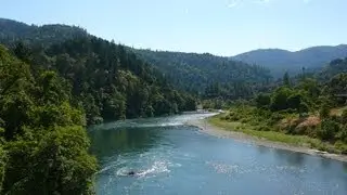 Willow Creek Trailer - In Search of Bigfoot