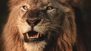Survival of the Fittest: The World's Most Dangerous Animals 🔥