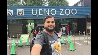 Ueno Zoo-Tokyo Japan | #UENOZOO | #TOKYOZOO