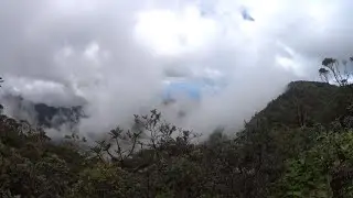 Oahu Trails: Mount Ka'ala Trail (hard)
