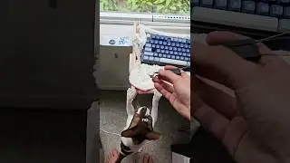 I made the Razer Keyboard THOCK