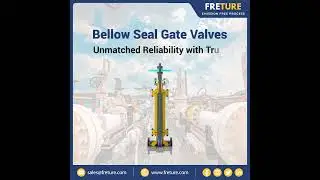 Bellow Seal Gate Valve Freture Techno