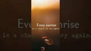 Every sunshine #quotes