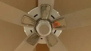 Hunter Infiniti Ceiling Fan