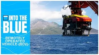 NOC's Remotely Operated Vehicle (ROV): Discovering the Secrets of the Seabed | Into the Blue Podcast