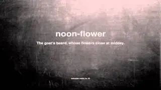 What does noon-flower mean