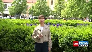 Prima města &ndash; Bene&scaron;ov