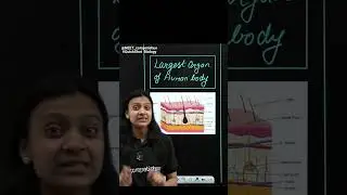 60-Second Biology Bite-Sized Learning for Busy People | Largest Organ Of Human body | #neet #shorts