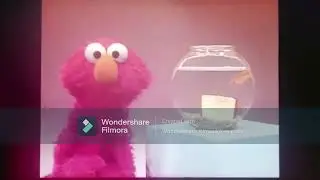 Light Leak 5 Edit Elmo's World Books Kids and Baby #elmosworld