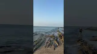 Aramaya devam #fishing #balıkavı #doğa #at&ccedil;ek #levrek