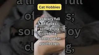 PurrfectGlimpses #CatFacts#PawsomeFacts#WhiskerWisdom#CatsOfKnowledge#MeowFacts#KittyTrivia