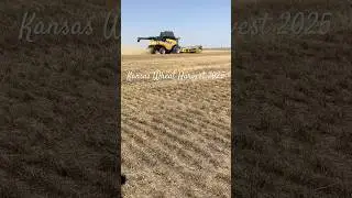 Kansas Wheat Harvest 2025 - 1