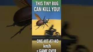 Can a Bug Break Your Neck at High Speed?#shorts#YouTubeShorts #experiment  #sciencevsmyth #facts