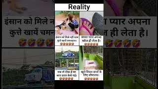 Reality Motivation Memes | Funny But Inspiring Video #motivation #inspiration #quotes #memes