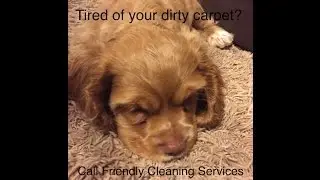 DIY pet odor removal tip
