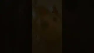 (SHORTS)dogyn cantando) yt_kitsune wolfyn