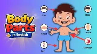 Body Parts for Beginners | Learn English Fast with Visual Aid