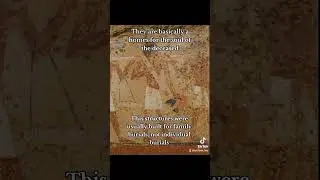 Egyptian Old Kingdom Tomb #arthistory #history #archaeology #youtubeshorts