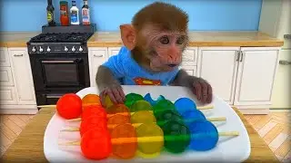 Monkey Baby Bon Bon eats rainbow jelly with puppies and bathes with ducklings in the bathroom