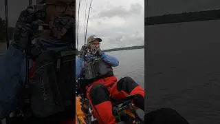 What a combo !!  Fish lab flutter nymph and 74th element to put some amazing catches in the boat