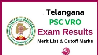 VRO results- District  wise Merit list download from WWW.STARFOUNDATIONS.IN