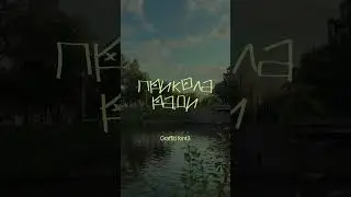 Мой топ шрифтов для заголовков 
