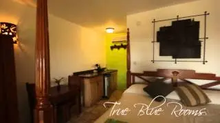 True Blue Bay Rooms - True Blue Bay Resort