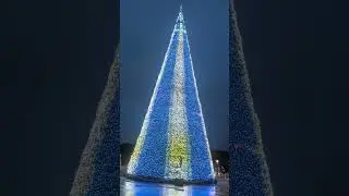 Amazing Longleat Christmas Tree