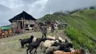 How Nepali Villagers Live Closely with Nature | Mountain Life 