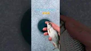 Зимняя рыбалка. Ловля рыбы зимой. Зимняя рыбалка в феврале на плотву. Ловля на удочки