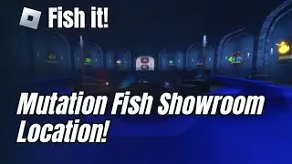 SECRET Area Revealed - How to Find the Mutation Cellar Location in Fish It