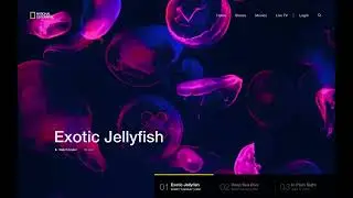 Figma Prototype of National Geographic website.
