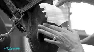 Flair Nasal Strip Application