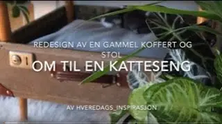 DIY Katteseng av hverdags_inspirasjon