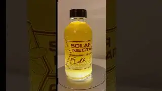 Cyberpunk Orange Peach and Mango Mead    #mead #homebrew #wine #cyberpunk