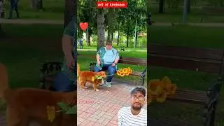 A dog's love for others(act of kindness)❤️🙏#kindness#humanity#respect#help#compassion#doglove#shorts