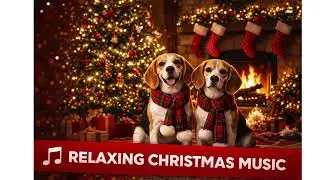 Різдвяні та новорічні пісні. Christmas and New Year's songs!